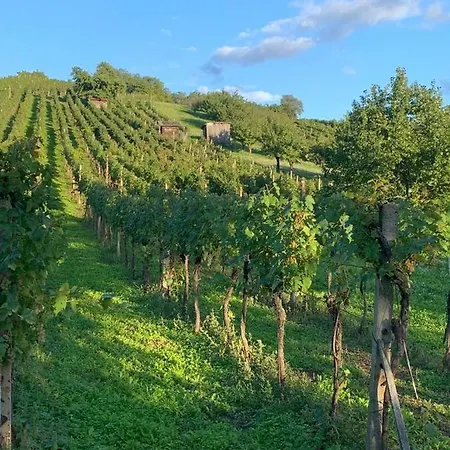 Rekreacni Dum Milovice - Nove Mlyny U Palavy * Milovice (South Moravian)
